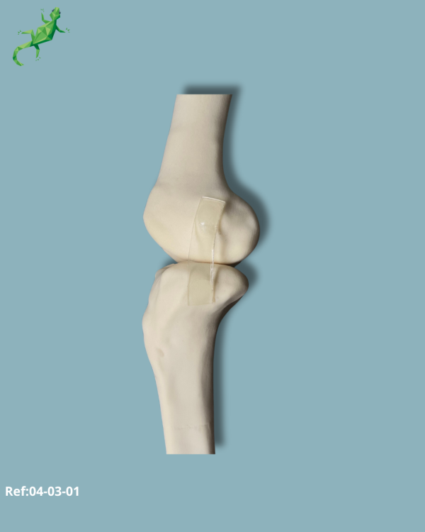 Knee / Medium / Left / Addi-CORT - Ref 04-03-01 - Image 6