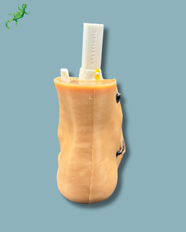 Pack 'Consumable Ankle with ligaments/tendons' + 'Reusable Skin' + 'Reusable Forefoot left' - Ref 02-03-02 - Image 5