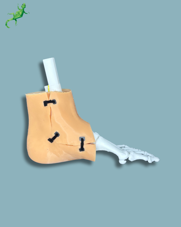 Pack 'Consumable Ankle with ligaments/tendons' + 'Reusable Skin' + 'Reusable Forefoot left' - Ref 02-03-02