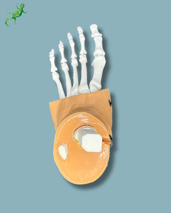 Pack 'Consumable Ankle with ligaments/tendons' + 'Reusable Skin' + 'Reusable Forefoot left' - Ref 02-03-02 - Image 7