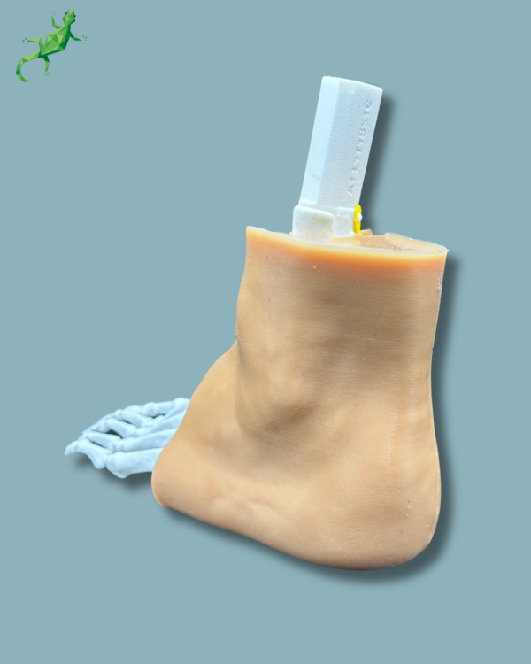 Pack 'Consumable Ankle with ligaments/tendons' + 'Reusable Skin' + 'Reusable Forefoot left' - Ref 02-03-02 - Image 3