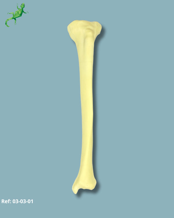 Tibia / Medium / Left / Addi-CAN - Ref 03-03-01 - Image 2