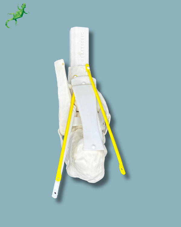 Replaceable hindfoot / Addi-CORT+ Addi-SOFT Addi-ARC - Ref 02-04-02 - Image 8