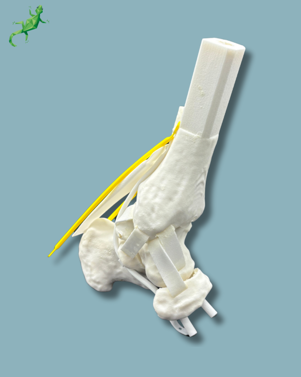Replaceable hindfoot / Addi-CORT+ Addi-SOFT Addi-ARC - Ref 02-04-02 - Image 4