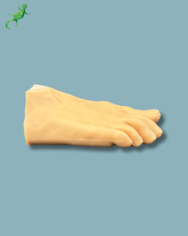 Forefoot with deformity, radioopacity and skin - Ref 01-12-02 - Image 3