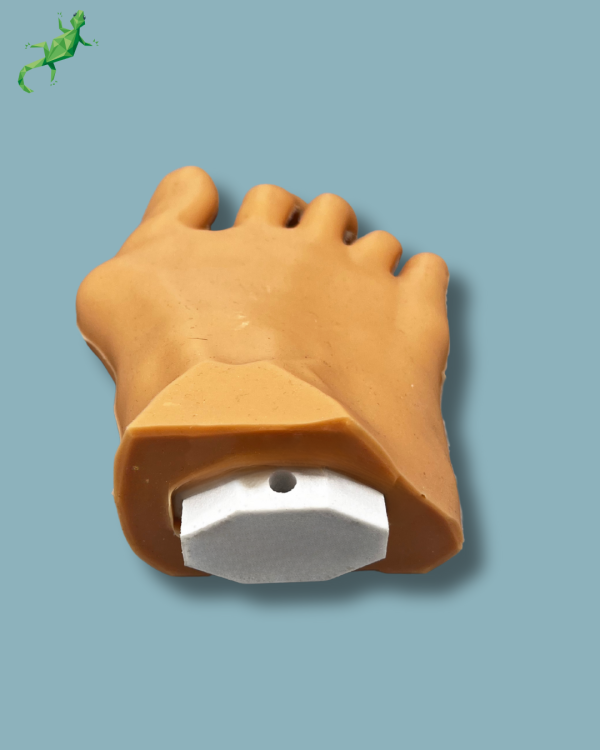 Forefoot with deformity, radioopacity and skin - Ref 01-12-03 - Image 5