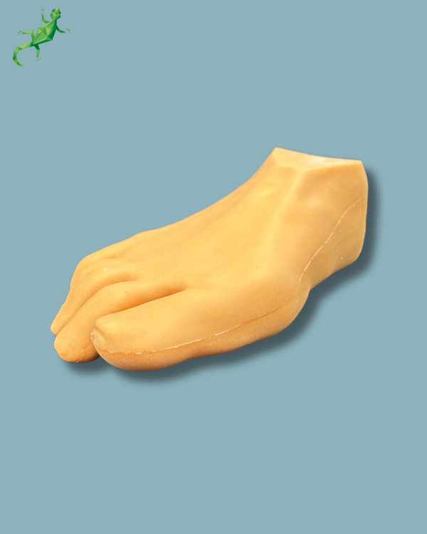 Forefoot with deformity, radioopacity and skin - Ref 01-12-02