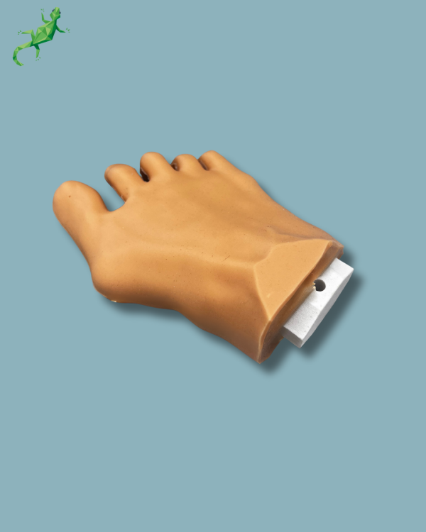 Avant-pied avec malformation, radio-opacité et peau - Ref 01-12-03 – Image 8