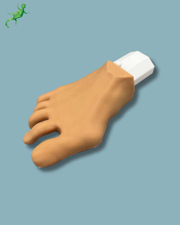 Pack ‘Forefoot right with deformity, Radioopacity and Skin’, + ‘vise attachment’ - Ref 01-11-03 - Image 2