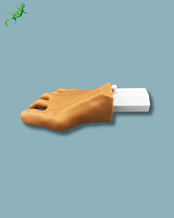 Pack ‘Forefoot right with deformity, Radioopacity and Skin’, + ‘vise attachment’ - Ref 01-11-03 - Image 8