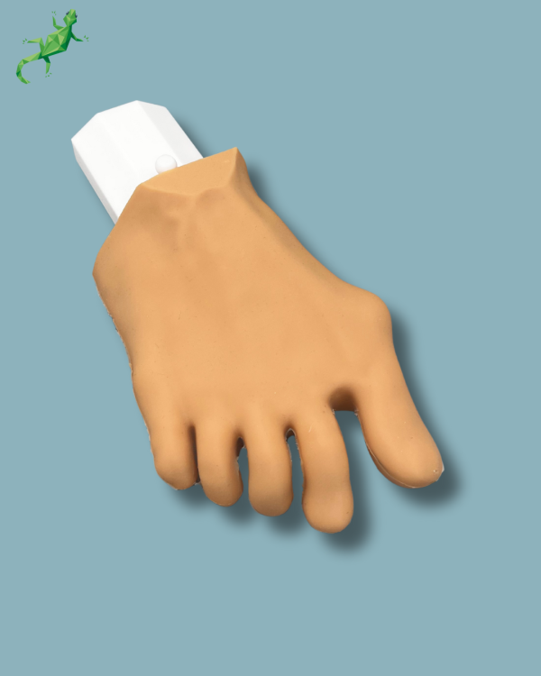 Pack ‘Forefoot right with deformity, Radioopacity and Skin’, + ‘vise attachment’ - Ref 01-11-03 - Image 5