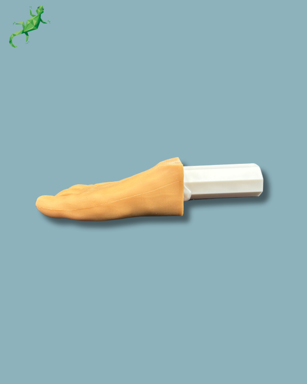 Pack ‘Forefoot right with deformity, Radioopacity and Skin’, + ‘vise attachment’ - Ref 01-11-02 - Image 7