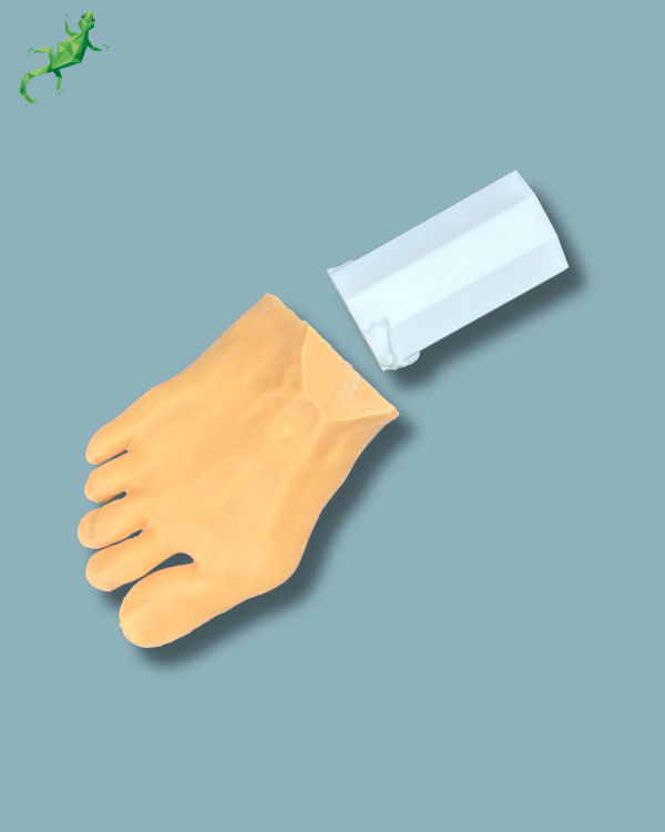 Pack ‘Forefoot right with deformity, Radioopacity and Skin’, + ‘vise attachment’ - Ref 01-11-02 - Image 2