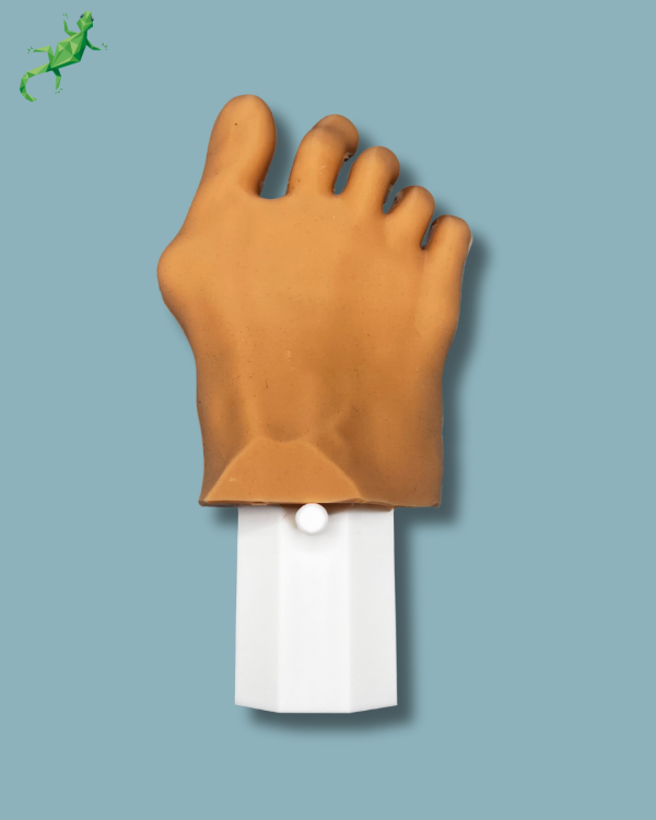 Pack ‘Forefoot right with deformity, Radioopacity and Skin’, + ‘vise attachment’ - Ref 01-11-03 - Image 4