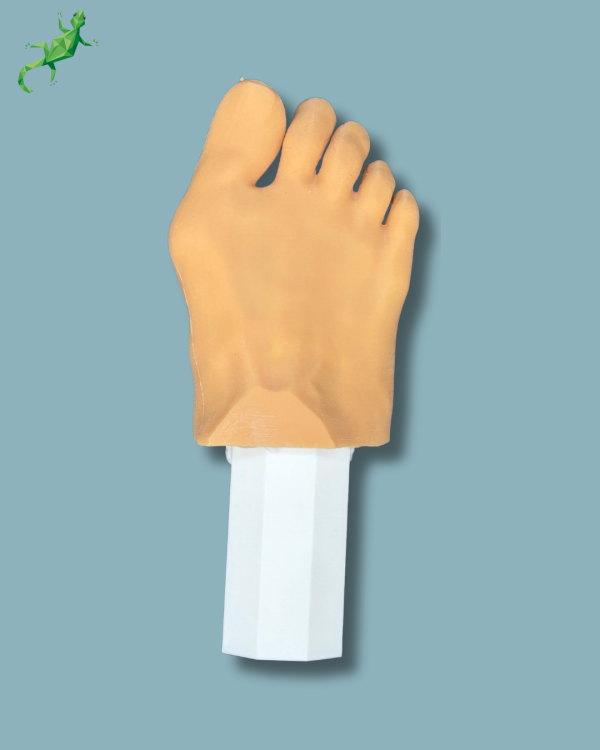 Pack ‘Forefoot right with deformity, Radioopacity and Skin’, + ‘vise attachment’ - Ref 01-11-02 - Image 3