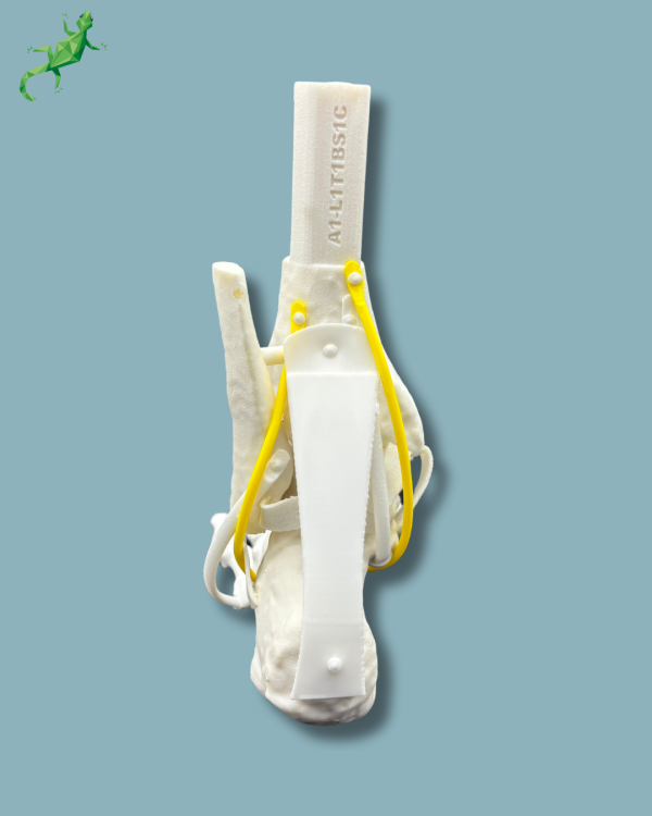 Pack 'Cheville consommable avec ligaments/tendons' + 'Avant-Pied Réutilisable Gauche' - Ref 02-12-02 – Image 11