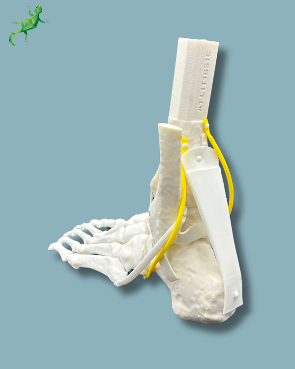 Pack 'Cheville consommable avec ligaments/tendons' + 'Avant-Pied Réutilisable Gauche' - Ref 02-12-02 – Image 10