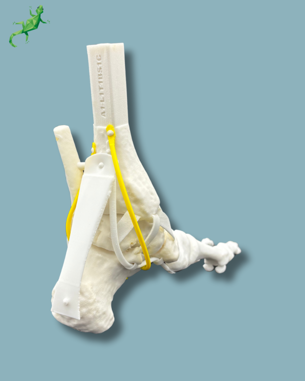 Pack 'Cheville consommable avec ligaments/tendons' + 'Avant-Pied Réutilisable Gauche' - Ref 02-12-02 – Image 9