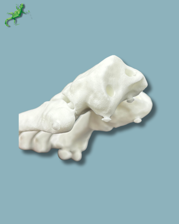 Avant pied réutilisable / Gauche / plastique solide - Ref 01-01-02 – Image 5
