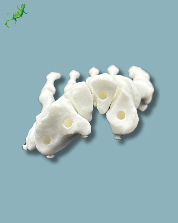 Reusable Forefoot Left / Solid plastic - Ref 01-01-02 - Image 7