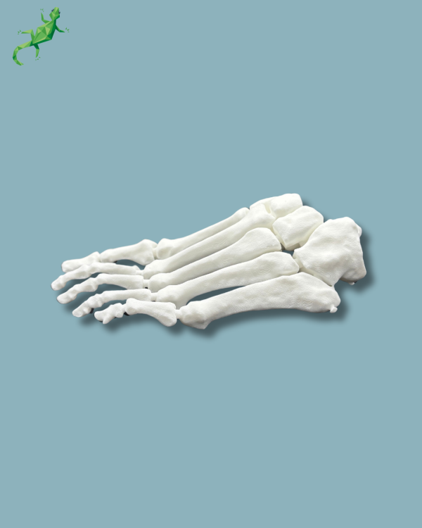 Avant pied réutilisable / Gauche / plastique solide - Ref 01-01-02 – Image 2