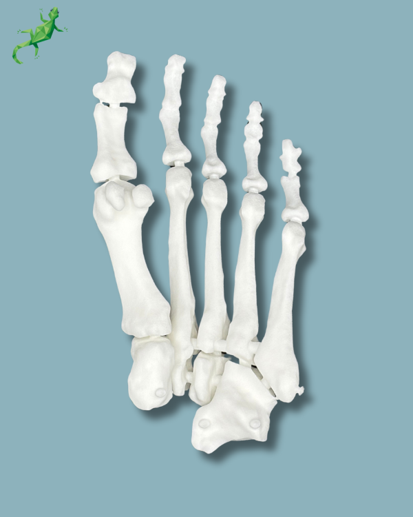 Avant pied réutilisable / Gauche / plastique solide - Ref 01-01-02 – Image 4