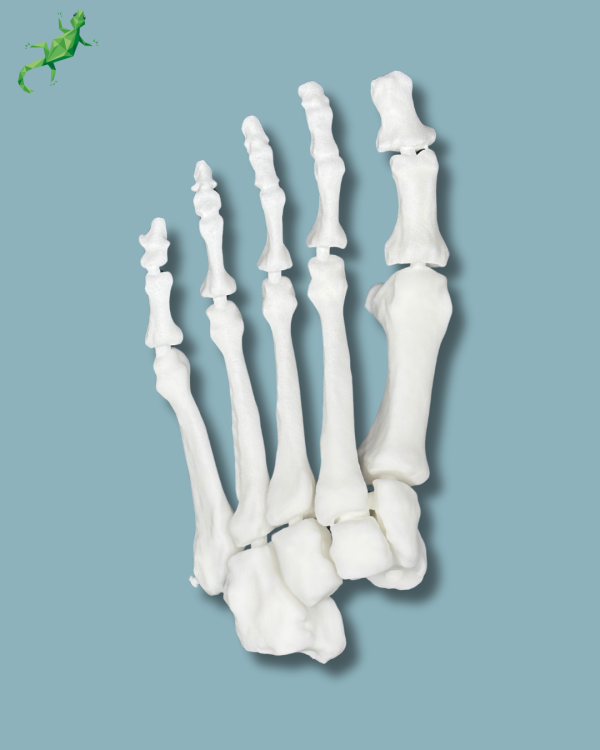 Avant pied réutilisable / Gauche / plastique solide - Ref 01-01-02 – Image 3