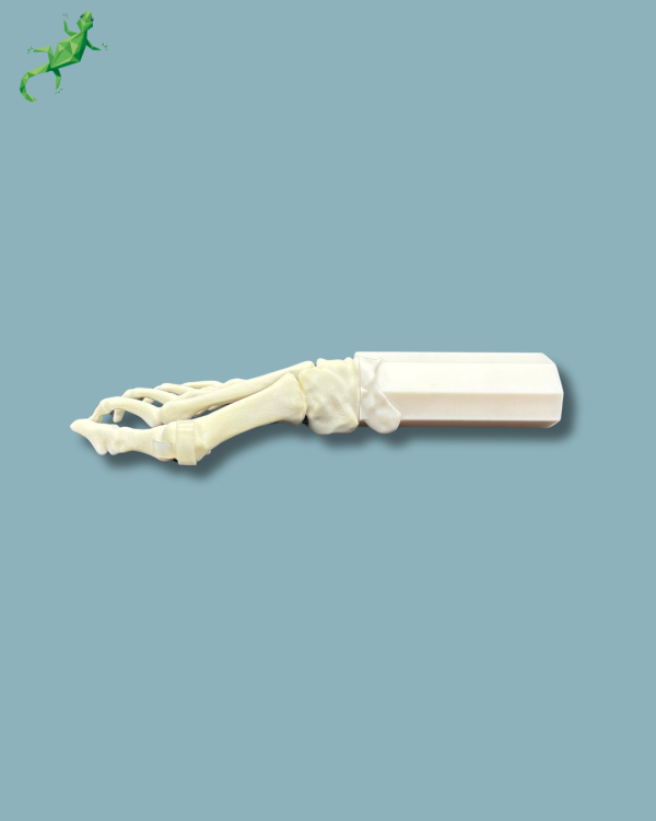 Pack 'Avant-Pied avec malformation' + 'Bloc réutilisable', droit - Ref 01-14-02 – Image 6