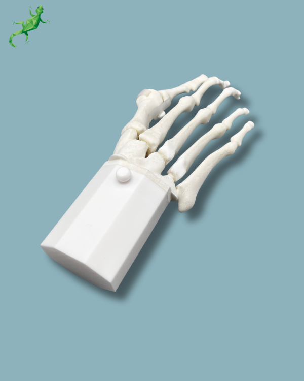 Pack 'Avant-Pied avec malformation' + 'Bloc réutilisable', droit - Ref 01-14-02 – Image 7