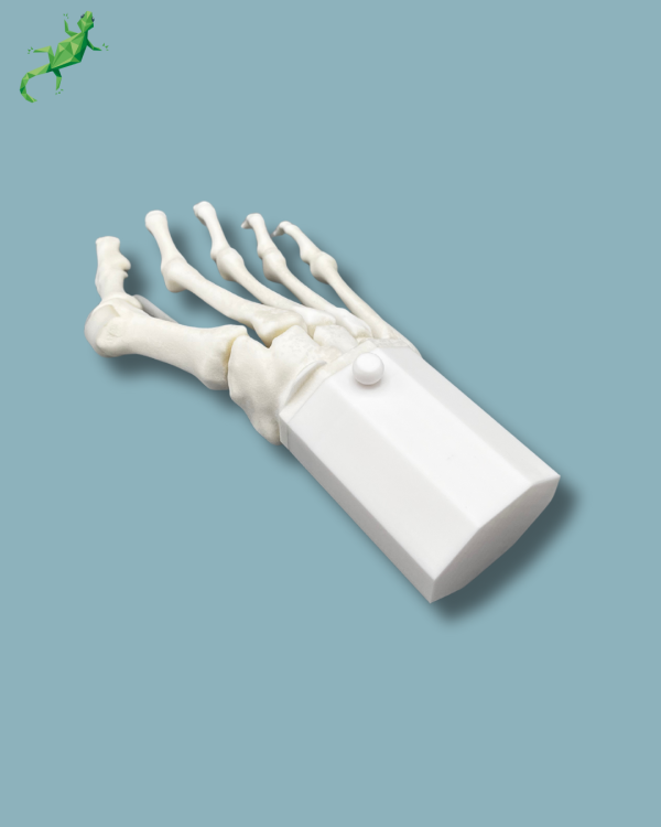 Pack 'Avant-Pied avec malformation' + 'Bloc réutilisable', droit - Ref 01-14-02 – Image 8