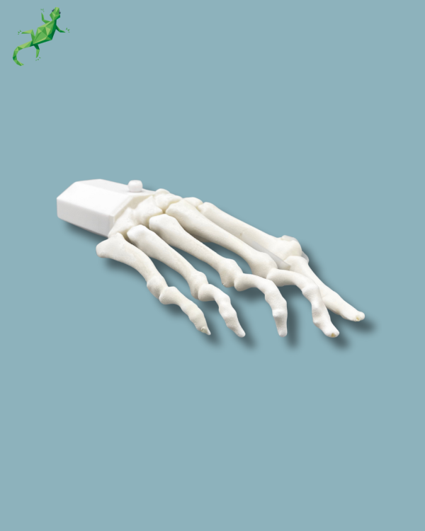 Pack 'Forefoot with deformity' + 'Vise attachment', right - Ref 01-14-02 - Image 10