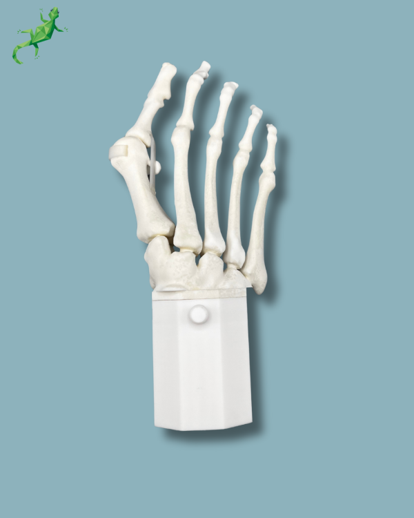 Pack 'Forefoot with deformity' + 'Vise attachment', right - Ref 01-14-02 - Image 3