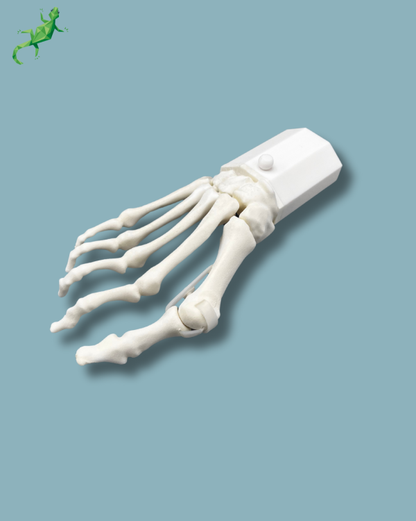 Pack 'Avant-Pied avec malformation' + 'Bloc réutilisable', droit - Ref 01-14-02 – Image 9