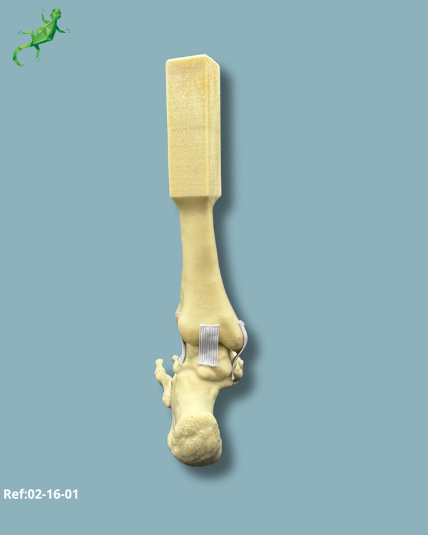 Foot and mid-tibia / Medium / Left / Addi-CORT - Ref 02-16-01 - Image 6