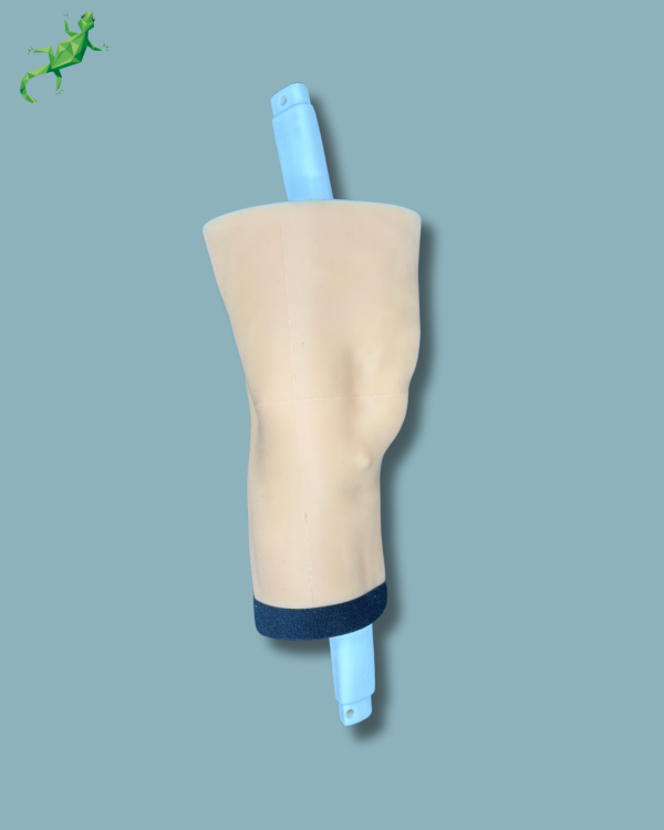Consumable part / Medium / Left / Addi-CORT+ Addi-SOFT Addi-SKIN - Ref 04-09-02 - Image 4