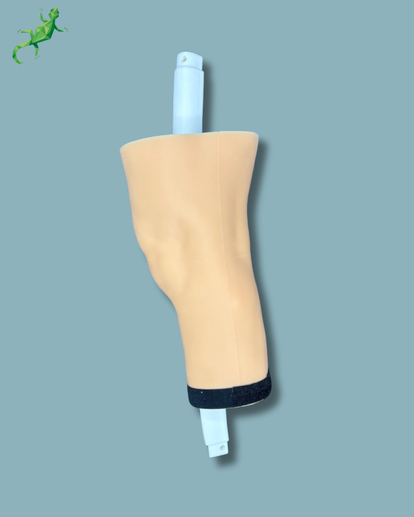 Consumable part / Medium / Left / Addi-CORT+ Addi-SOFT Addi-SKIN - Ref 04-09-02 - Image 2