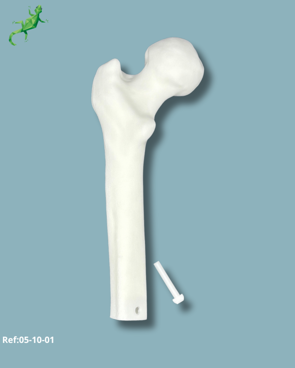 Femur reusable part / Medium / Left / Solid plastic - Ref 05-10-01 - Image 2