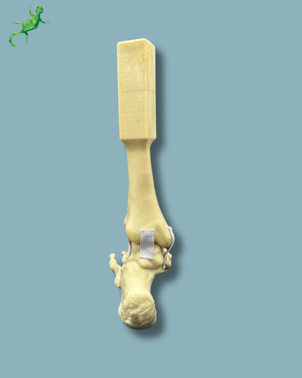 Foot and mid-tibia, left, Addi-CORT - Ref 02-16-02 - Image 4