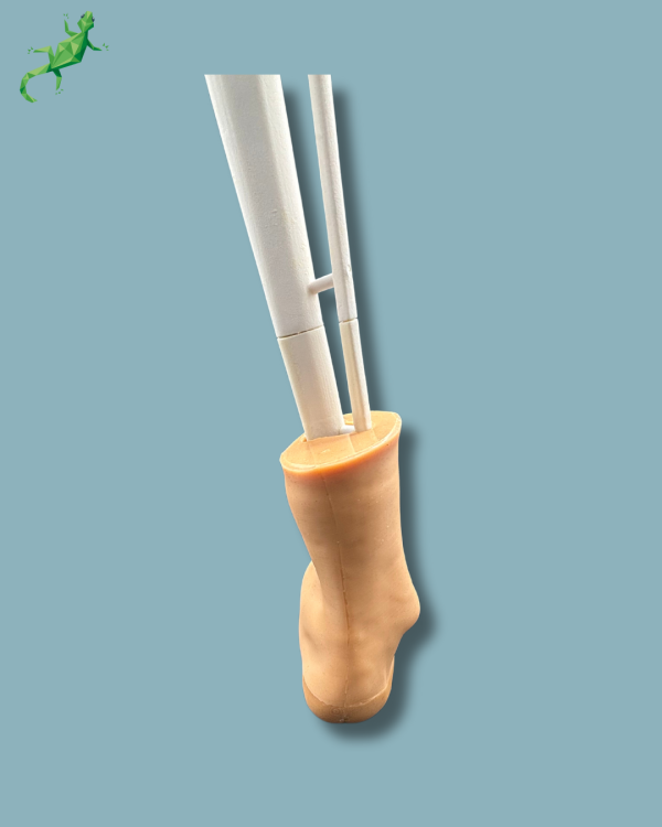 Foot and Tibia with a COFAS 2 Ankle arthritis with ligaments/tendons/retinaculum and skin - Ref 02-02-02 - Image 6