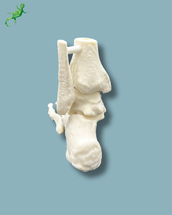 Foot / Left / Addi CORT+ - Ref 02-33-01 - Image 5