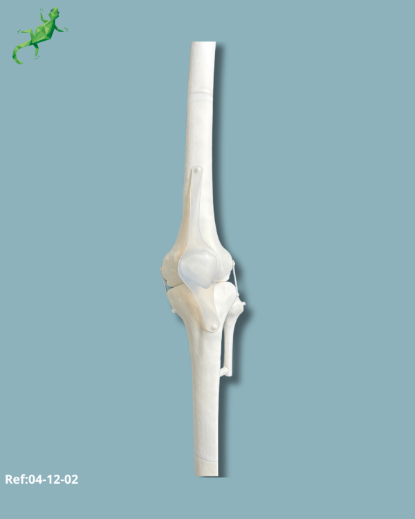 Knee / Medium / Left / Addi-CORT+ Addi-SOFT - Ref 04-12-02 - Image 2