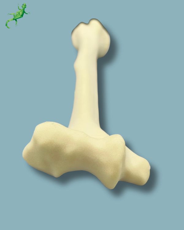 Humerus / Addi-CAN - Ref 15-03-02 - Image 5