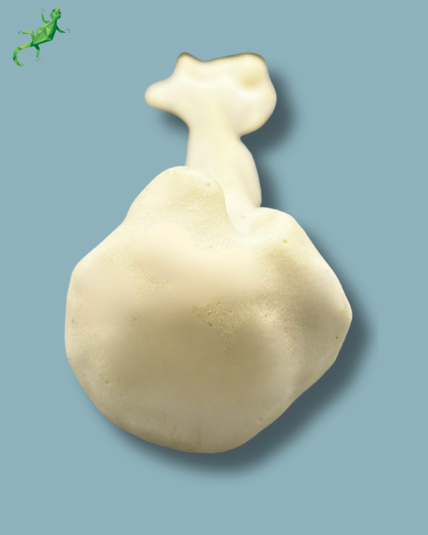 Humerus / Addi-CAN - Ref 15-03-02 - Image 6