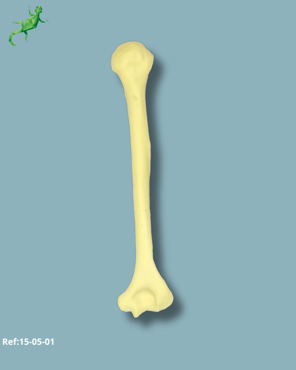 Humerus / Addi-CORT with intramedullar canal - Ref 15-05-01