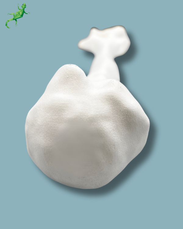 Humerus / Addi-CORT+ - Ref 15-02-02 - Image 6