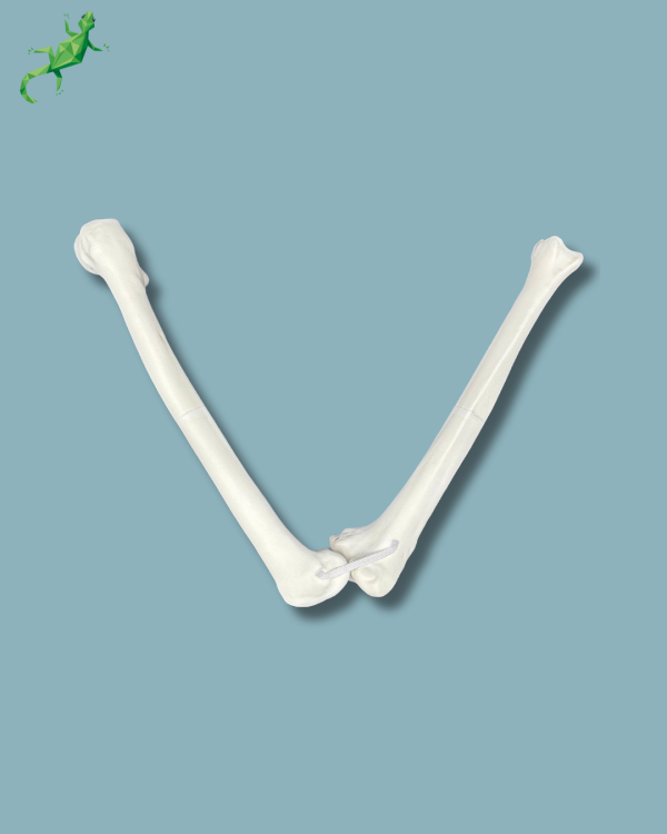 Knee / Medium / Left / Addi-CORT+ - Ref 04-02-02 - Image 3