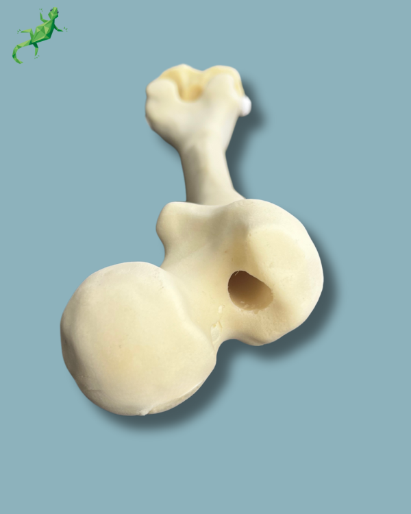 Knee / Medium / Left / Addi-CORT with intramedullar canal - Ref 04-04-02 - Image 8