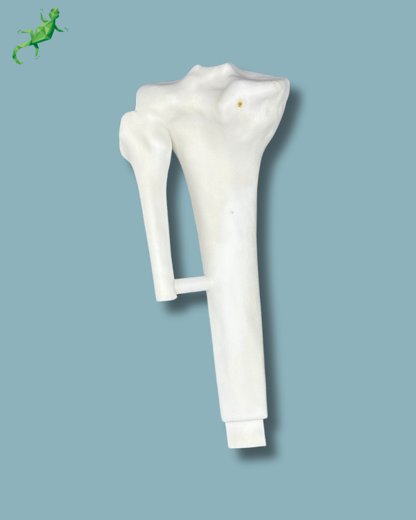 Tibia consumable part / Medium / Left / Addi-CORT+ Addi-ARC - Ref 03-13-02 - Image 2