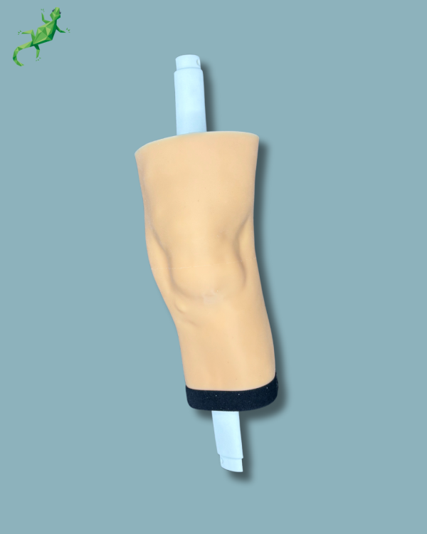 Consumable part / Medium / Left / Addi-CORT+ Addi-SOFT Addi-SKIN - Ref 04-09-02