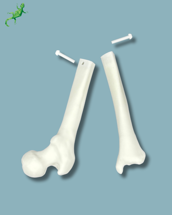 Knee reusable part / Solid plastic / Addi-ARC - Ref 04-11-02